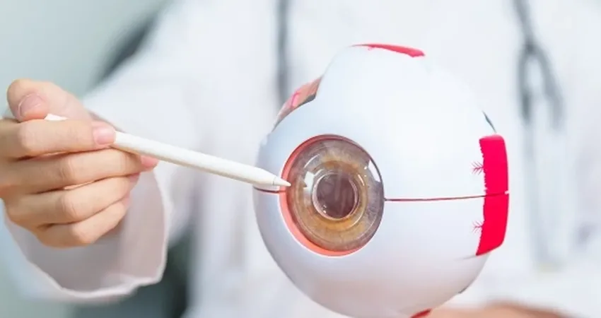 Çinli araştırmacılar tarafından yapılan geniş kapsamlı bir araştırma, her gün