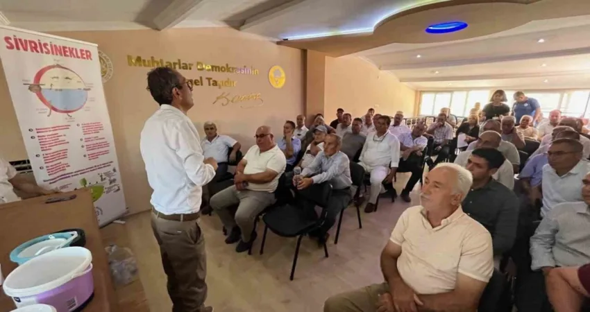 Muğla Büyükşehir’den halk sağlığı için yaz seferberliği Muğla Büyükşehir Belediyesi, yaz aylarında artan sivrisinek, karasinek, bit, pire