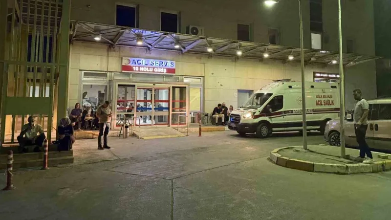 Sakarya'nın Adapazarı ilçesinde Enes S. isimli kişi, boşanma aşamasındaki eşi