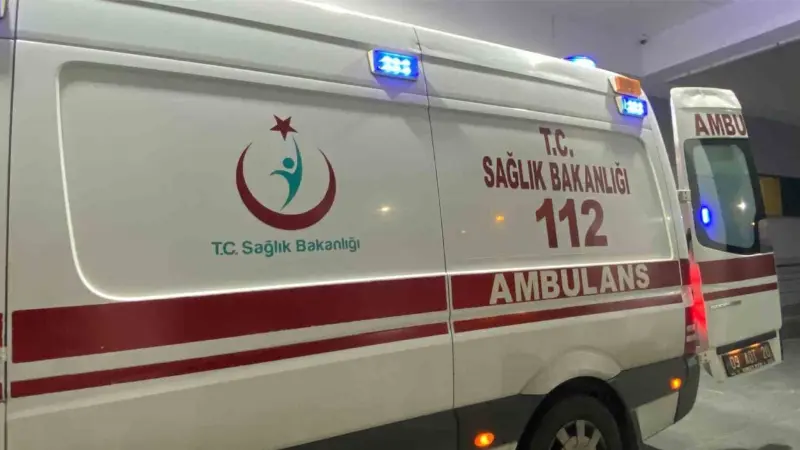 Aydın'ın Germencik ilçesinde S.E., bahçesindeki ağaçlar arasında domuz sandığı hareketlilik