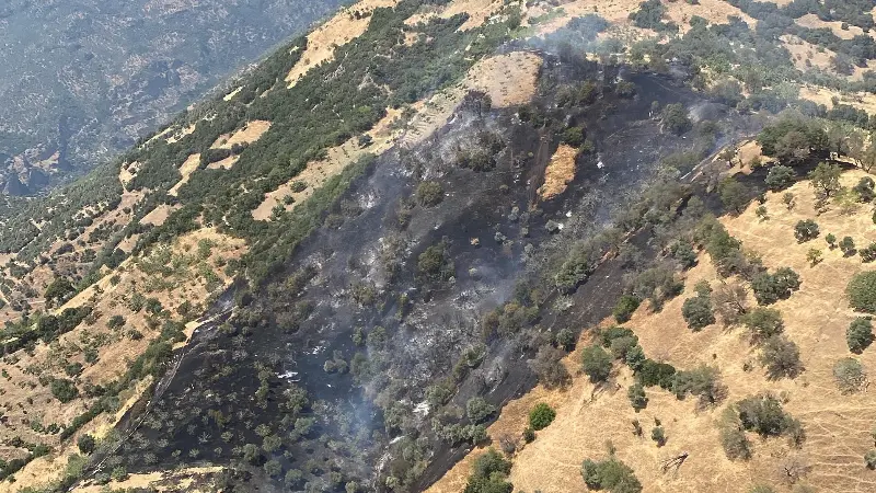 Aydın'ın Konuklu Mahallesi'nde zirai alanda çıkan yangın, Muğla Orman Bölge