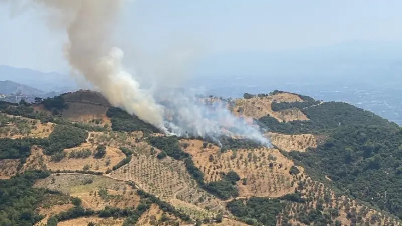 Aydın'ın Konuklu Mahallesi'nde zirai alanda çıkan yangına, ihbar üzerine Muğla