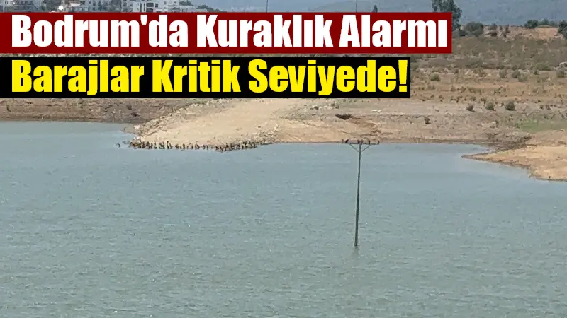 Bodrum'da yaz nüfusunun artmasıyla birlikte su tüketimi rekor seviyelere ulaştı