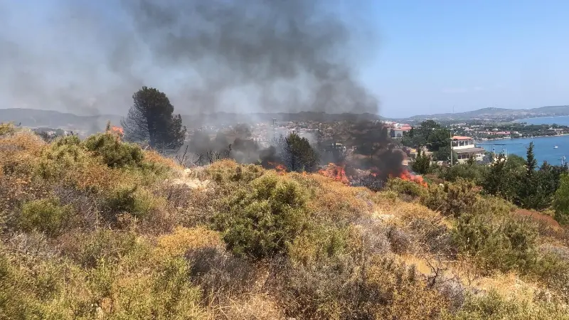 Muğla'nın Datça ilçesindeki Panaroma Tepesi'nde çıkan makilik alan yangını, Muğla