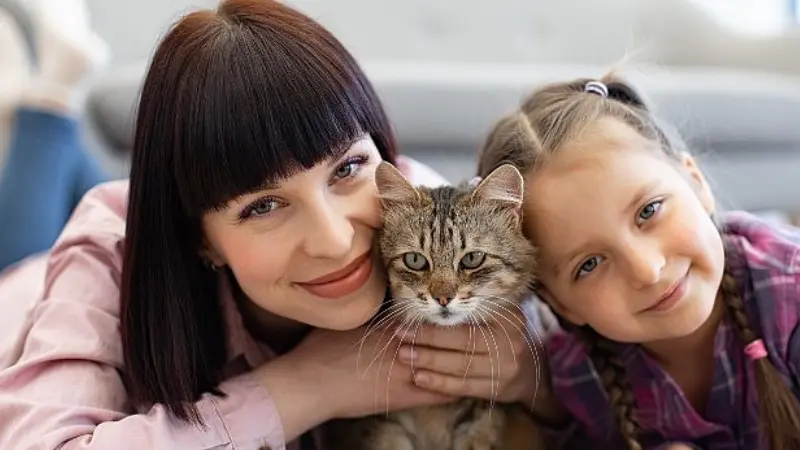 Bir sabah işe hazırlanırken ayağınızın dibinde dolanan bir kedinin tüm