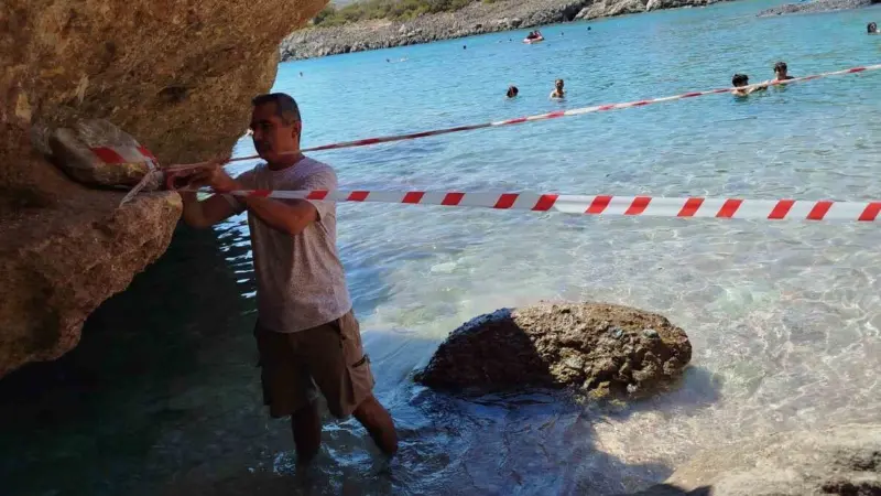 Muğla'nın Datça ilçesinde vatandaşlar, kıyıya çıkan bir Akdeniz fokunu koruma