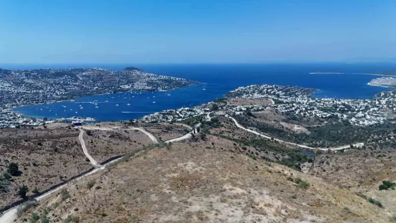 Muğla Büyükşehir Belediyesi, çevre ve insan sağlığını tehdit eden 330