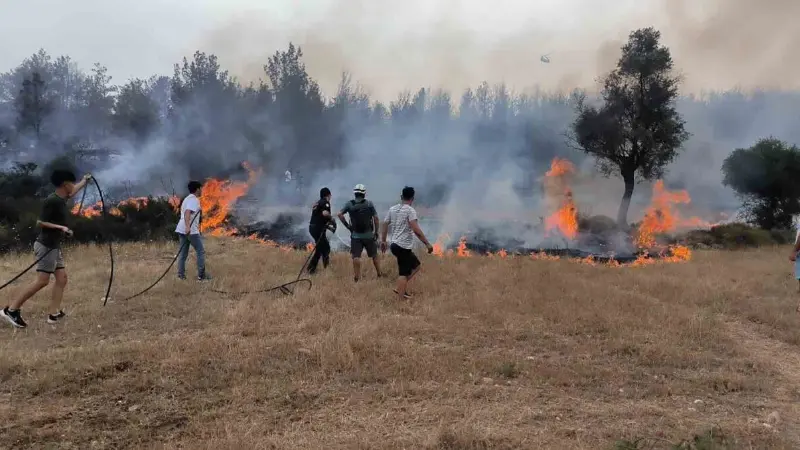 Muğla Büyükşehir Belediyesi, anız yangınlarına karşı uyarıda bulundu. 2025'te 869