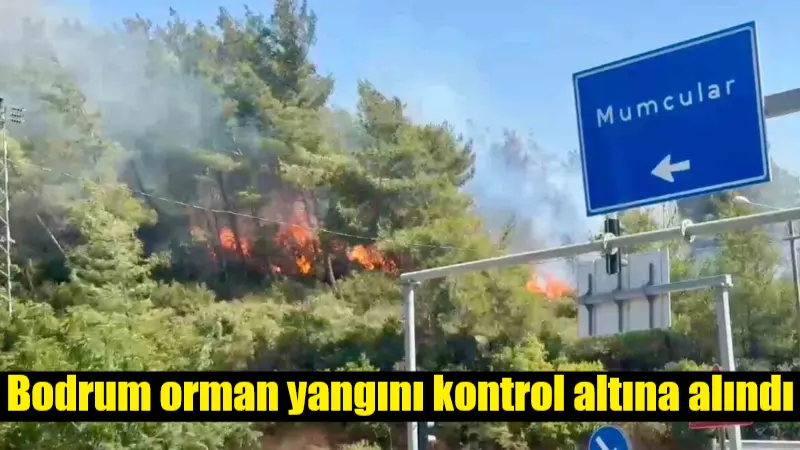 Muğla'nın Bodrum ilçesinde Güvercinlik Mahallesi'nde çıkan orman yangını, rüzgarın etkisiyle