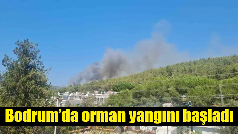 Bodrum'un Güvercinlik Mahallesi'ndeki ormanlık alanda öğleden sonra başlayan yangın, rüzgarın