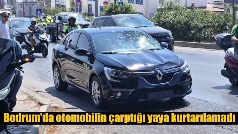 Muğla'nın Bodrum ilçesinde, 25 yaşındaki Selim Erdoğan Çite, Kıbrıs Şehitleri