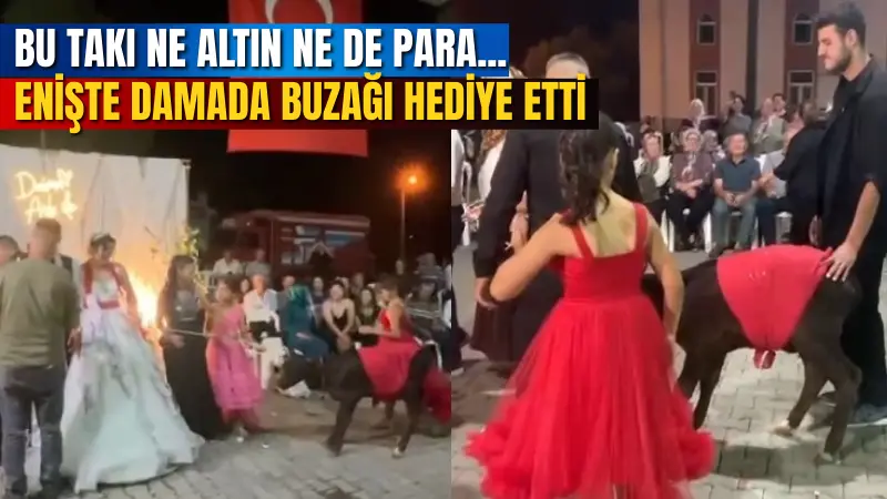 Muğla'nın Yatağan ilçesinde düzenlenen bir düğünde, damada altın veya para