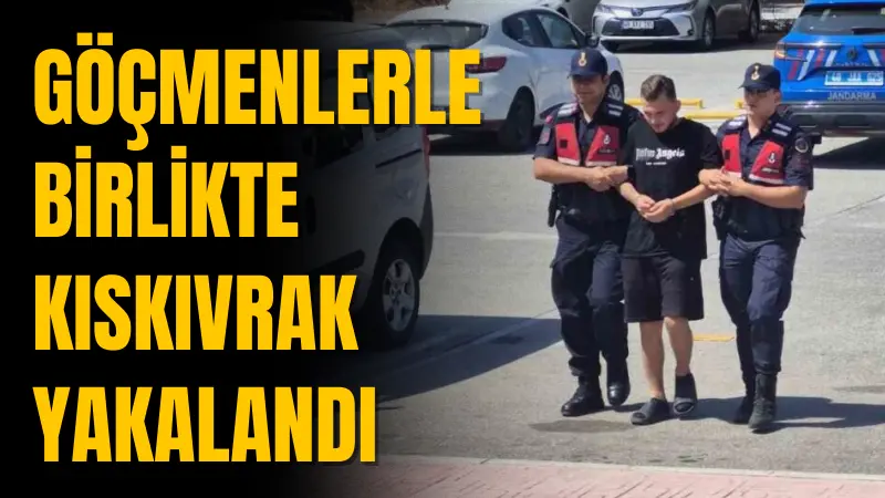 Bodrum'da düzenlenen operasyonda, Yunan adalarına yasadışı yollarla geçmeye çalışan 15