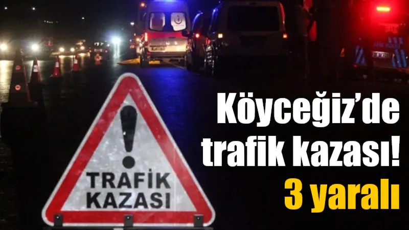 Muğla’nın Köyceğiz ilçesinde, 48 ABZ 758 plakalı otomobilin sürücüsünün kontrolü