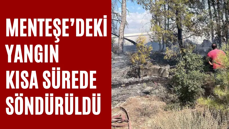 Muğla'nın Menteşe ilçesinde bir trafoda başlayan ve ormanlık alana yayılan