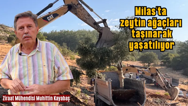 Ankara Üniversitesi'nin geliştirdiği bilimsel yöntemlerle, Milas'taki maden sahasında bulunan 151