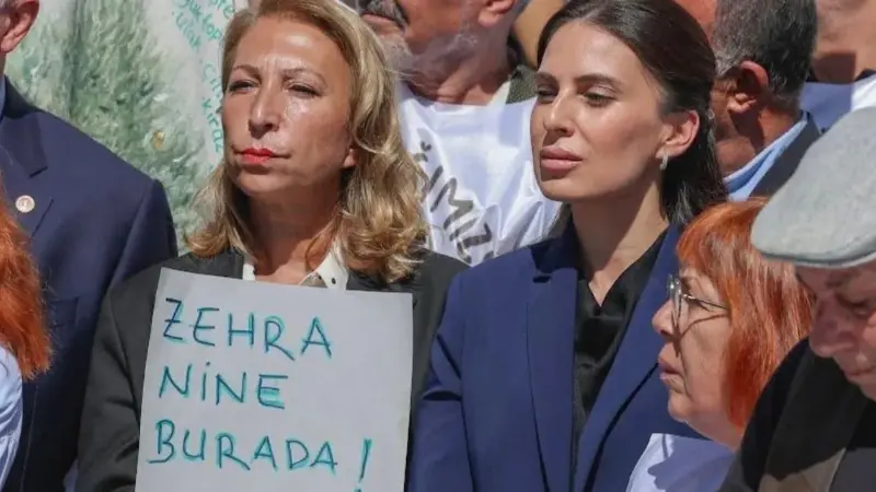 CHP Muğla Milletvekili Av. Gizem Özcan, Anayasa Mahkemesi ve Danıştay