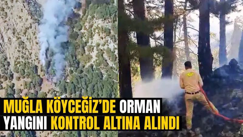 Köyceğiz Otmanlar Mahallesi yakınlarında sabah saatlerinde çıkan orman yangını kontrol