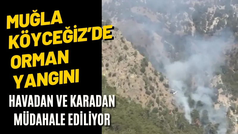 Muğla'nın Köyceğiz ilçesinde, Otmanlar Mahallesi yakınlarında çıkan orman yangınına havadan