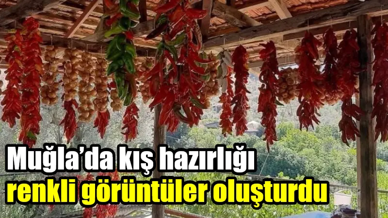 Muğla'nın Menteşe ilçesinde, yaz aylarının gelmesiyle birlikte kadınlar, yetiştirdikleri dolmalık