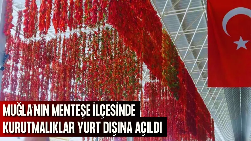 Muğla'nın Menteşe ilçesindeki manavlar, geleneksel yöntemlerle kışlık sebzeleri askıda kurutarak