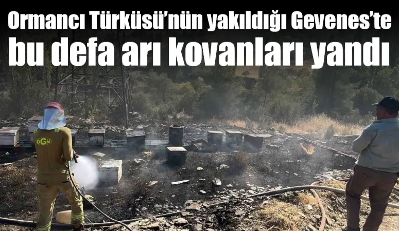 Muğla'nın Menteşe ilçesindeki Gevenes Mahallesi'nde çıkan yangın, enerji nakil hattından