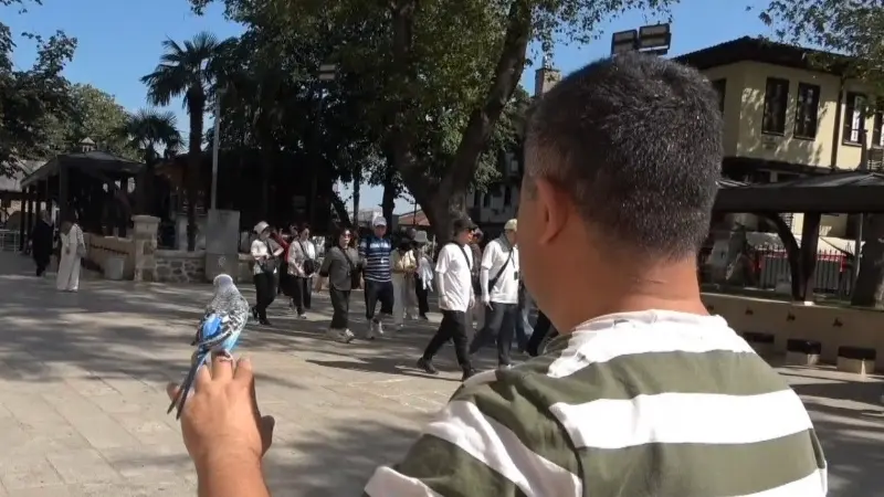 Bursa'da bir berberin omzunda Kapalı Çarşı'yı gezen ve "Müdür" adını