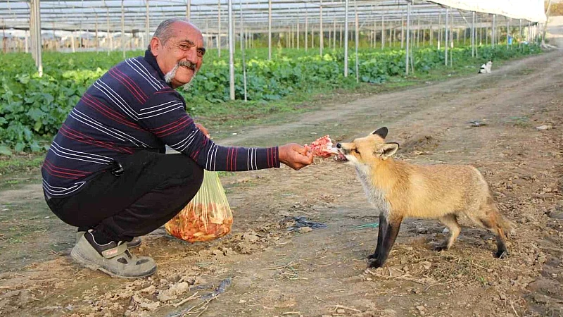 Amasya’nın Büyük Kızılca köyünde yaşayan çiftçi Necati Sarı, "Eylül" adı