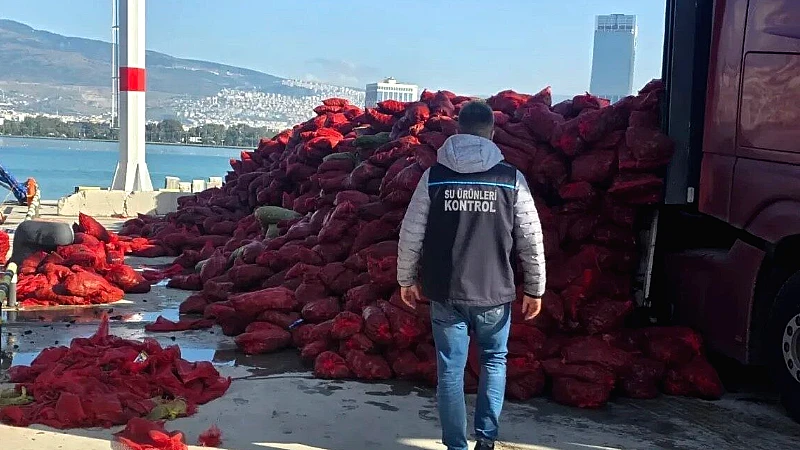 İzmir’de 27 ton belgesiz kara midyesi ele geçirildi İzmir'de yapılan denetimlerde belgesiz taşınan 27 ton kara midye ele