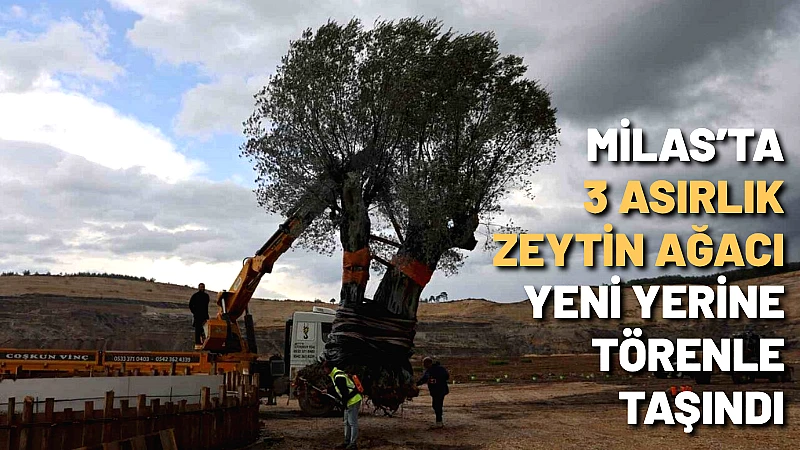 Türkiye'nin en büyük eski maden sahasını doğaya ve tarıma kazandırma