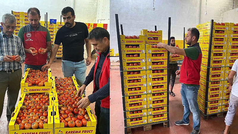 Muğla'nın Ortaca ilçesinde, Avrupa Birliği ülkeleri, Kuzey Kıbrıs Türk Cumhuriyeti