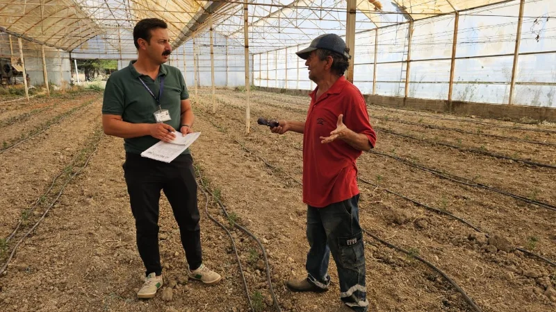 Bodrum Belediyesi, zeytin hasadı döneminde üreticileri yalnız bırakmıyor. Tarımsal Hizmetler