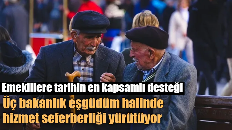 Türkiye'de Çalışma ve Sosyal Güvenlik, Sağlık, Aile ve Sosyal Hizmetler