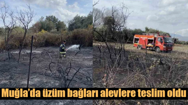 Muğla'nın Yatağan ilçesi Bozüyük Mahallesi'nde temizlik amacıyla çıkarıldığı düşünülen ve