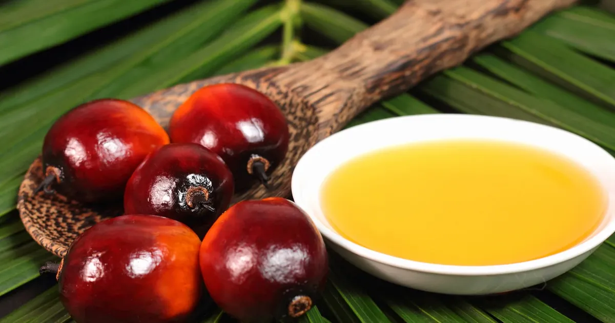 Güney Kaliforniya Üniversitesi'nde Beslenme, Gıda Bilimi ve Gıda Toksikolojisi uzmanı