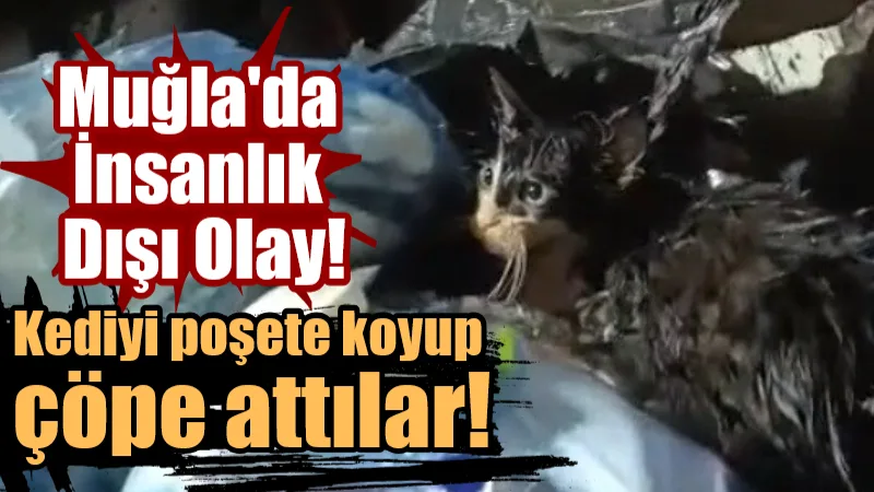 Bodrum’da Binanın Zemin Katında Yangın Paniği Bodrum’da bir binanın zemin katında yangın çıktı. Muğla Büyükşehir Belediyesi