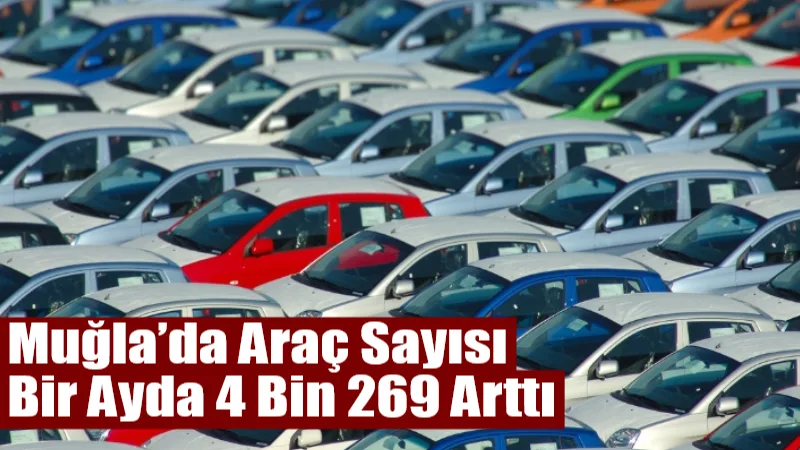 Türkiye İstatistik Kurumu (TÜİK), 2025 yılı Kasım ayı Motorlu Kara