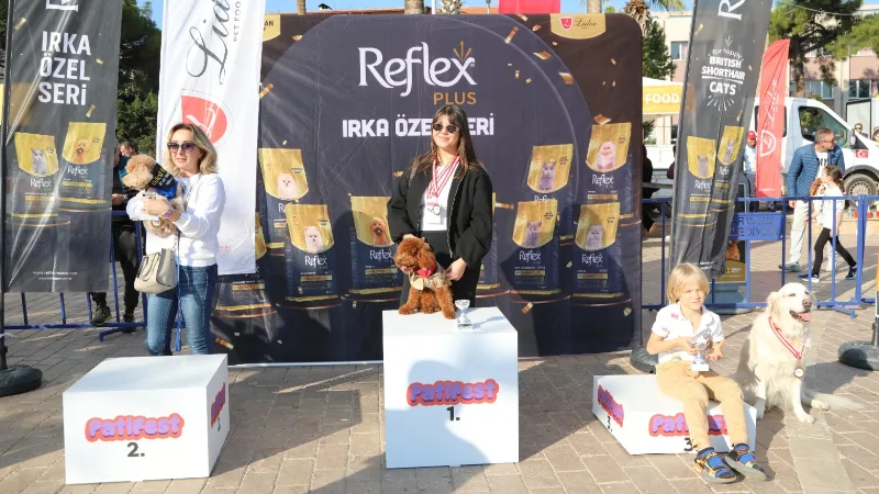 Marmaris Yeni Yıl Festivali kapsamında düzenlenen PatiFest’te eğlenceyle birlikte sahiplendirme