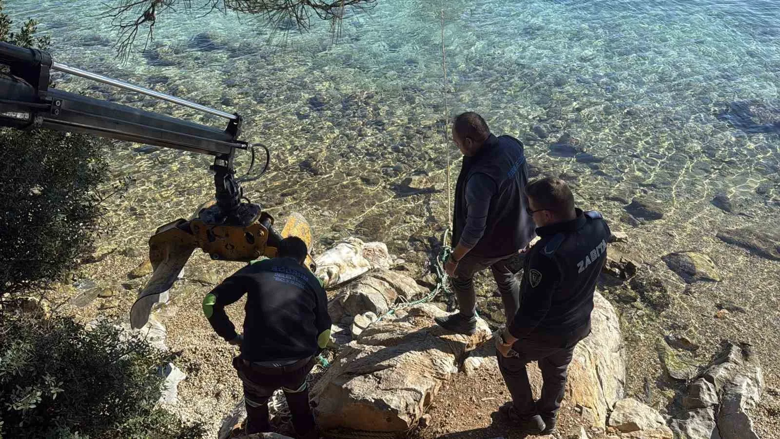 Bodrum'un Torba sahilinde vatandaşlar tarafından bulunan ölü bir caretta caretta,