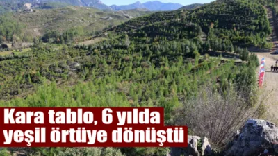 2019 yılında Muğla'da yanan 1.433 hektarlık alan, yürütülen yoğun ağaçlandırma