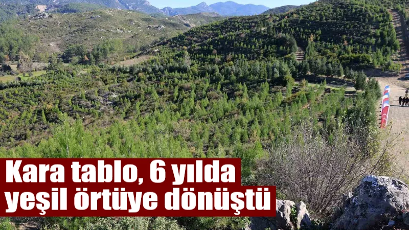 Kara tablo, 6 yılda yeşil örtüye dönüştü 2019 yılında Muğla'da yanan 1.433 hektarlık alan, yürütülen yoğun ağaçlandırma
