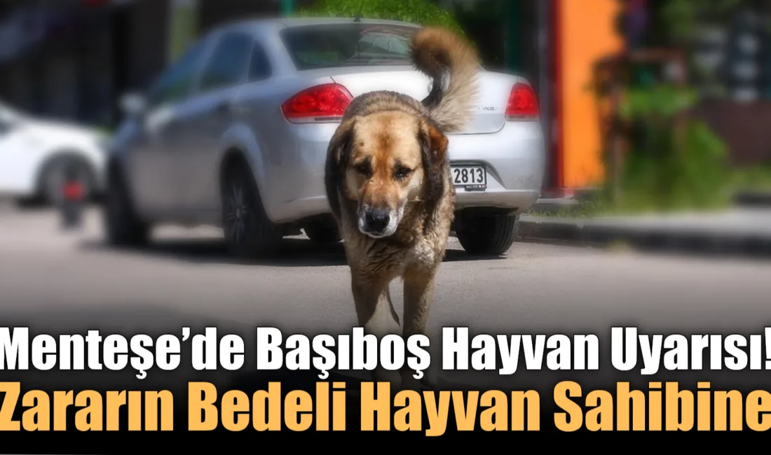 Menteşe İlçe Tarım ve Orman Müdürlüğü, tarım arazileri ile bağ