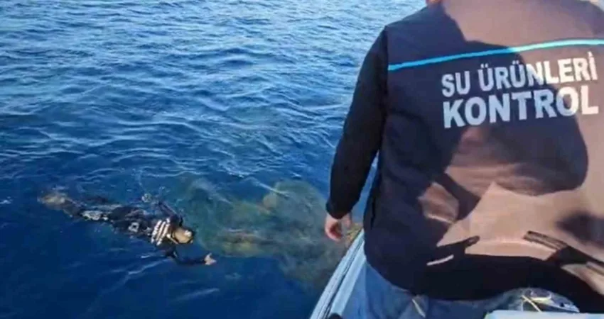 Muğla Tarım ve Orman İl Müdürlüğü, balıkçıların ihbarları üzerine Marmaris