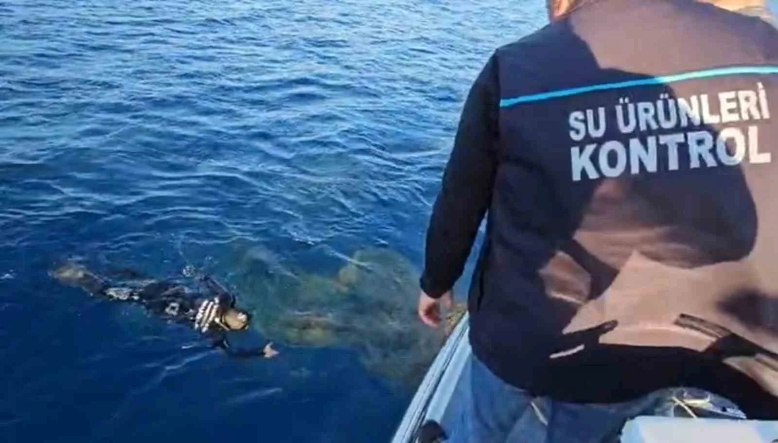 Muğla Tarım ve Orman İl Müdürlüğü, balıkçıların ihbarları üzerine Marmaris