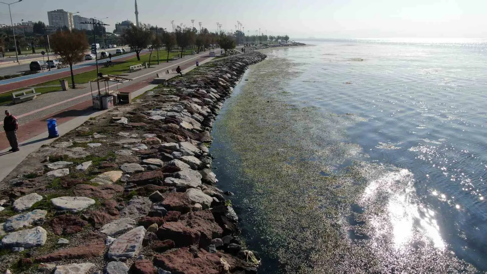 İzmir'in Karşıyaka ilçesi Bostanlı sahilinde, deniz marulu olarak bilinen yosunların