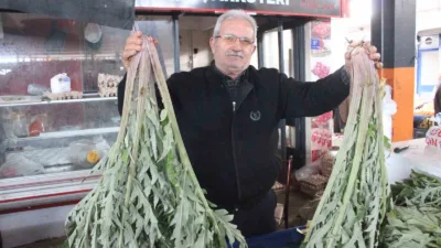 Aydın'ın Bozdoğan ilçesinde 50 yıldır enginar işiyle uğraşan 69 yaşındaki