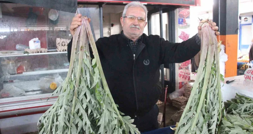 Aydın'ın Bozdoğan ilçesinde 50 yıldır enginar işiyle uğraşan 69 yaşındaki