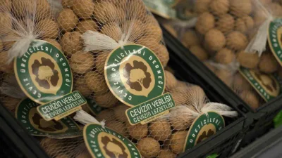 Türkiye’nin en yaygın zincir marketlerinden biri olan A101, Ceviz Üreticileri