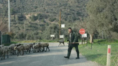 Aydın'daki çoban Namık Olcan, havaların ısınmasıyla koyunlarını meralara salarken Kurban