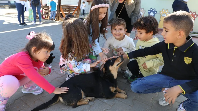 Muğla Büyükşehir Belediyesi Hayvan Bakımevi 4 bin 34 can dostu
